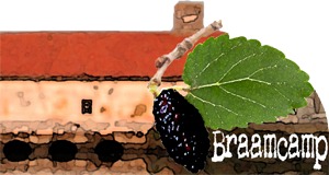 logo-bramcamp5site (1).png
